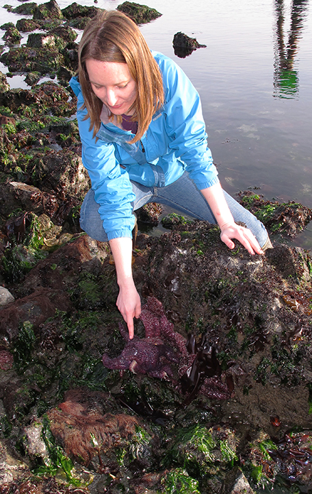 Intertidal surveying