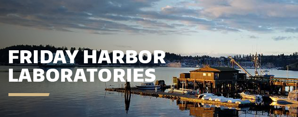 A coastal view of Friday Harbor Laboratories