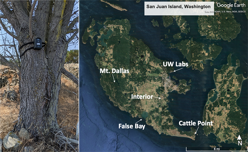 Camera locations on SJI