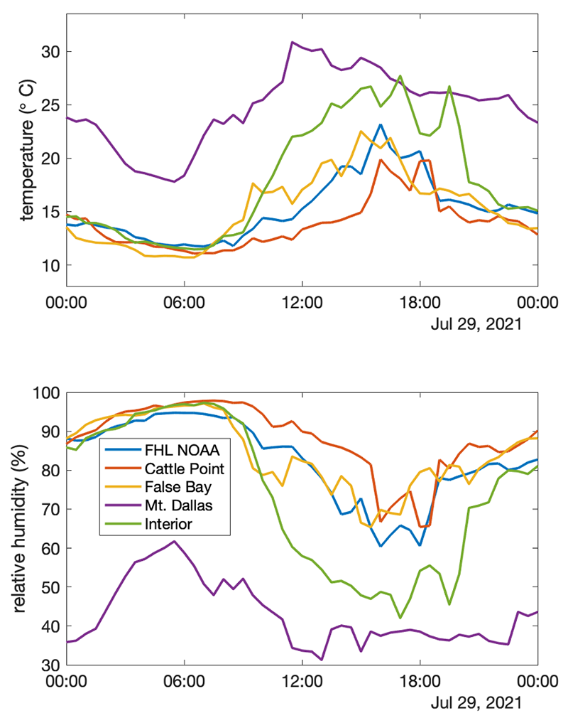 Temp & humidity graphs
