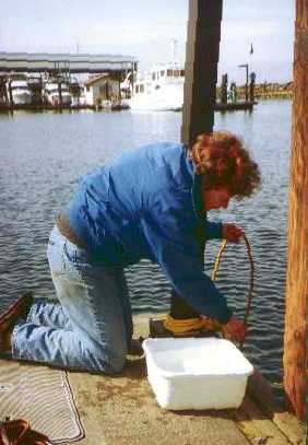 Biologist hanging a rope in the water
