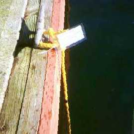 Rope hanging in the water, with tag
