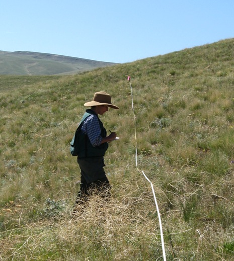 Our field assistant Lorna Emerich monitoring a permanent vegetation plot on ALE