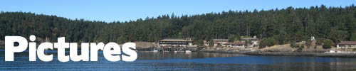 Friday Harbor Workshop Pictures (September 2006)