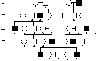 genetic practice problems simple worksheet