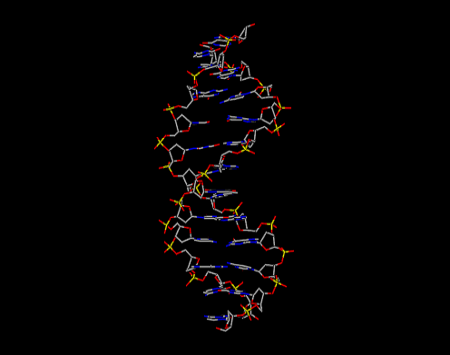 DNA helix