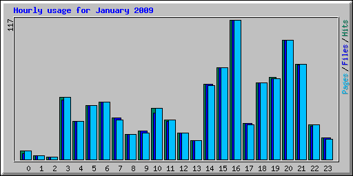 Hourly usage for January 2009