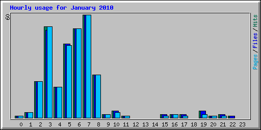 Hourly usage for January 2010