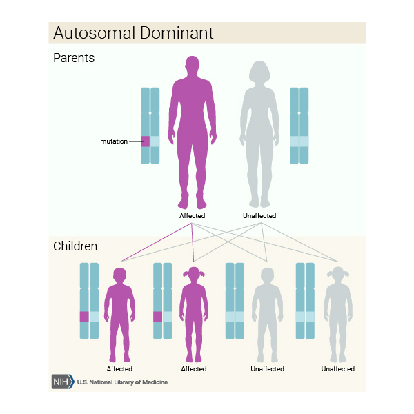 Genetics 101 Hdsa Center Of Excellence 0404