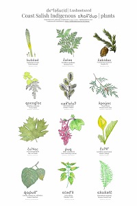 Landscape Architecture 424  and 522 2020 project on Indigenous plantss