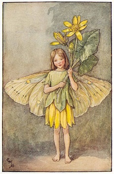 Lesser celandine illustration by Cicely Mary Barker