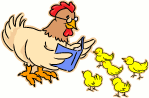 chicken teacher