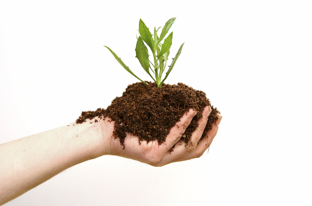hand_with_soil