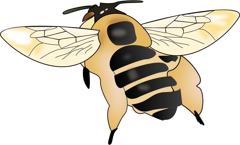 bee