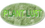 Sources for plants: click here