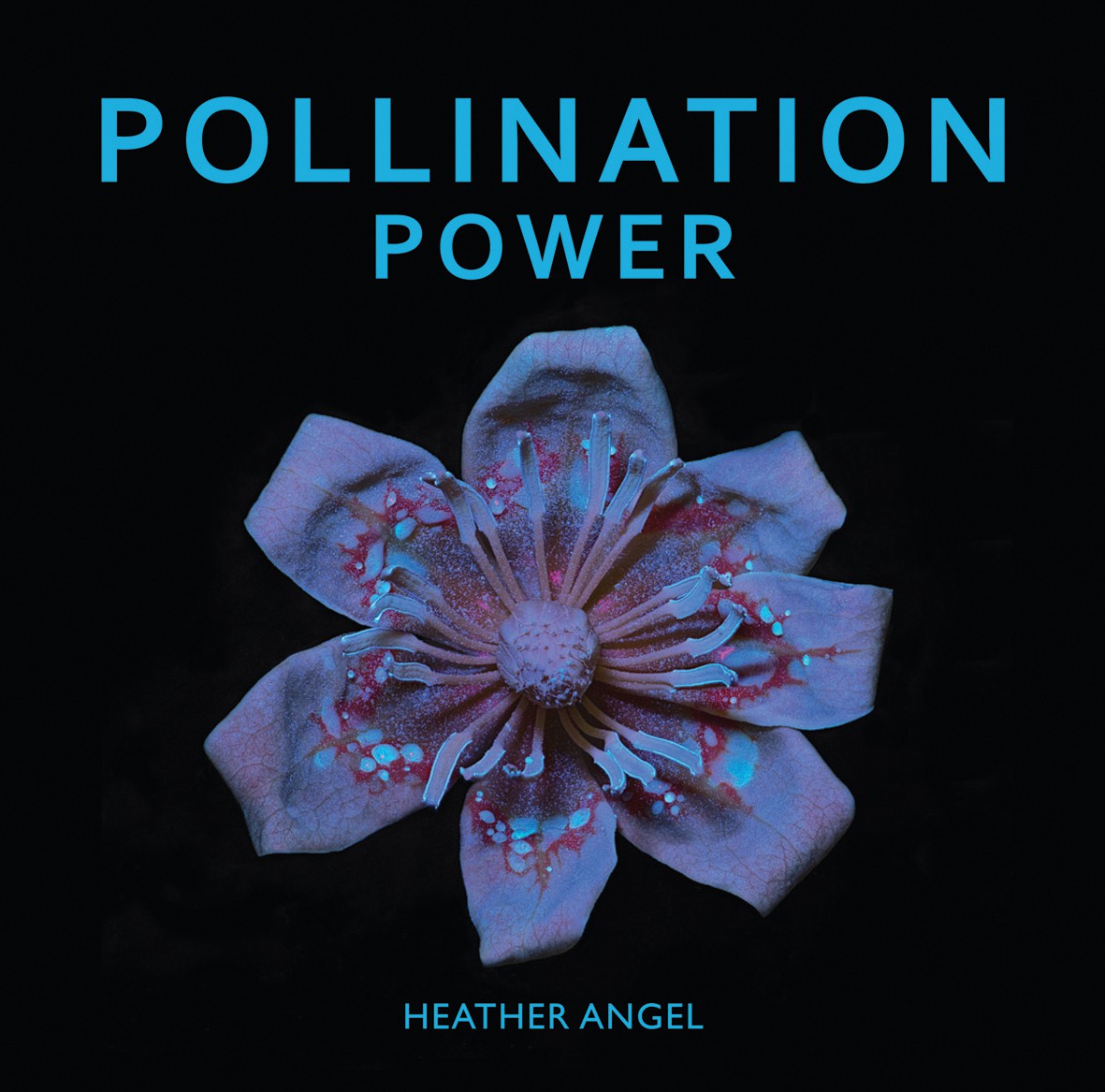 Pollination power / text Heather Angel ; photographs Heather Angel.