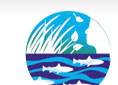 Saving Water Partnership