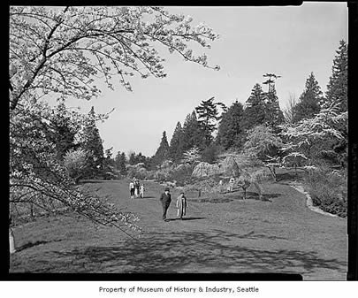 people in a field