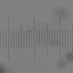 1 mm scale at 200x