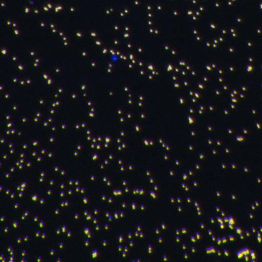 500 nm tetraspeck microsphere at 60x, blue-green-red merged projection