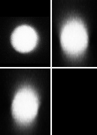 Projections of a 4 µm microsphere from 3 orientations of the XYZ stack