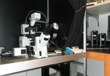 picture of DSU confocal microscope, click to see a larger version picture of DSU confocal microscope