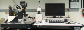 picture of SP5 confocal microscope