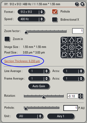 section thickness in XY panel