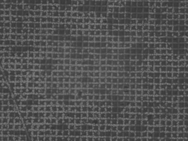 SEM of a grating replica at 10k×