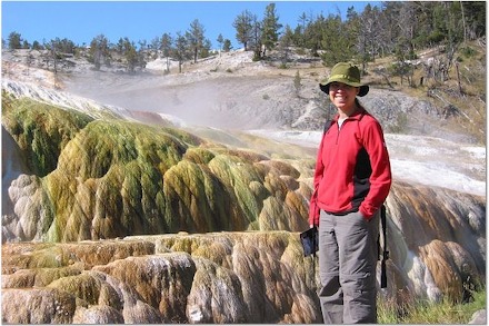 Mammoth Hot Springs