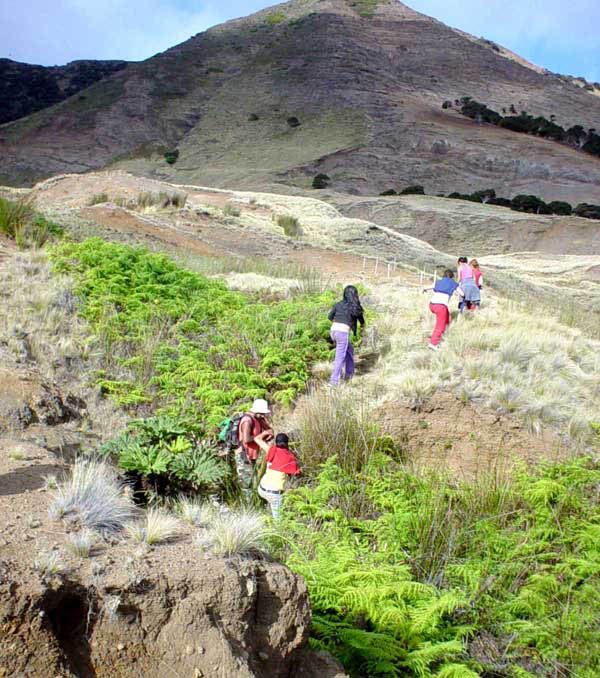 caminata a una colonia de fardelas en el sector de Vaqueria, © Juan Fernandez Islands Conservancy 2003