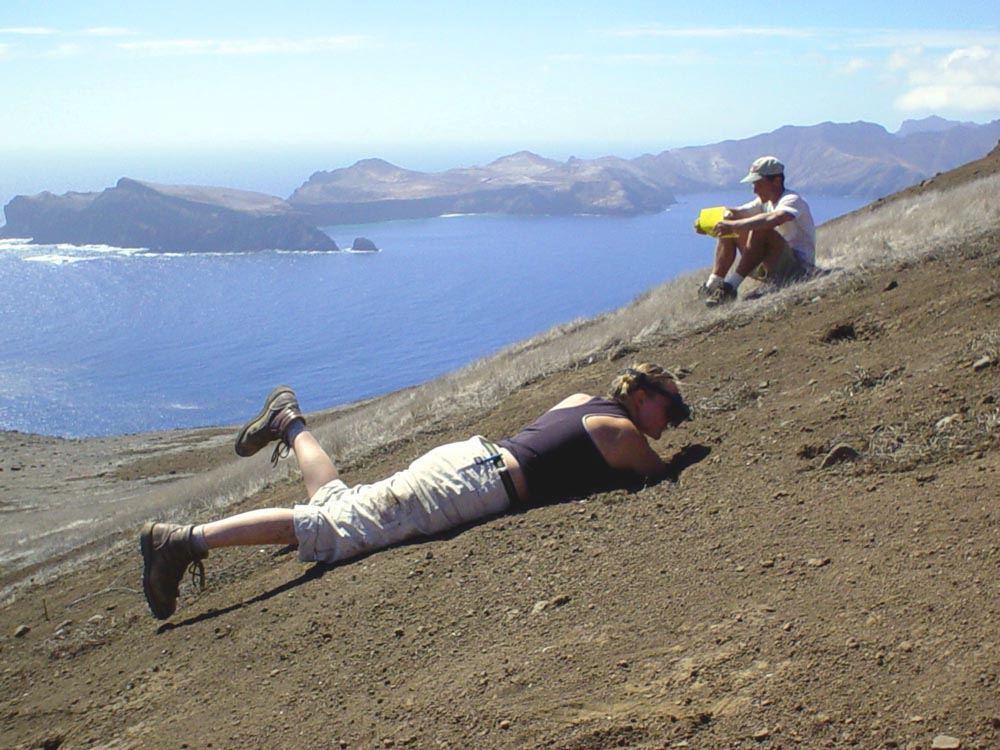 burrow probing on Isla Santa Clara, © Juan Fernandez Islands Conservancy, 2003