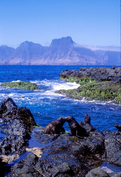 view of fur seals and Isla Robinson Crusoe from Isla Santa Clara,  © Juan Fernandez Islands Conservancy 2003
