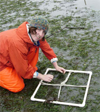 Photo of Sara Frame