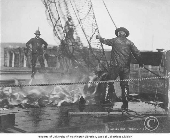 Fishermen unloading fish nets onto deck of ship, British Columbia, 1900