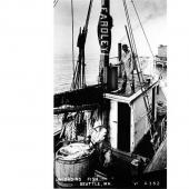 Unloading fish from a fishing boat at the waterfront, Seattle, Washington