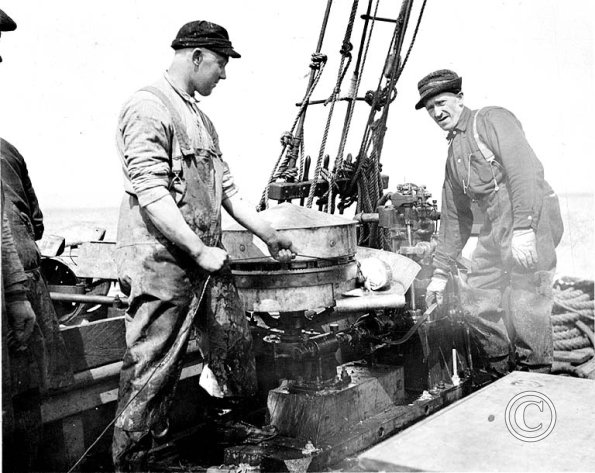 Crew with cod fish catch