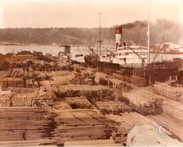 Port of Tacoma, lumber capital of the world, 1921