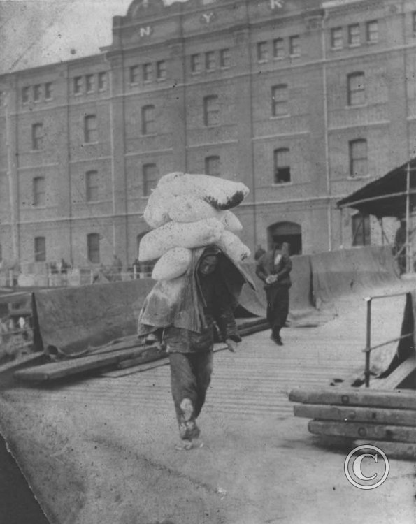 Chinese dock worker loading 50lb bags of flour