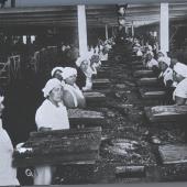 Unidentified and undated AK Cannery workers