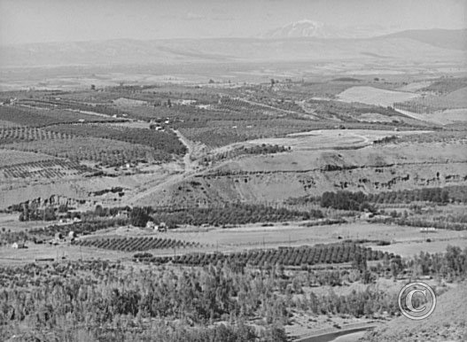 Looking down on part of the Valley, approximately six miles from Yakima.