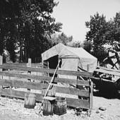 Shelter in one of the large shacktown communities around Yakima. Yakima, Washington, Sumac Park.