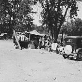 Camp of migratory families in "Ramblers Park."