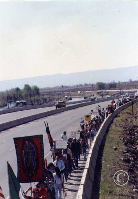 UFW 1986