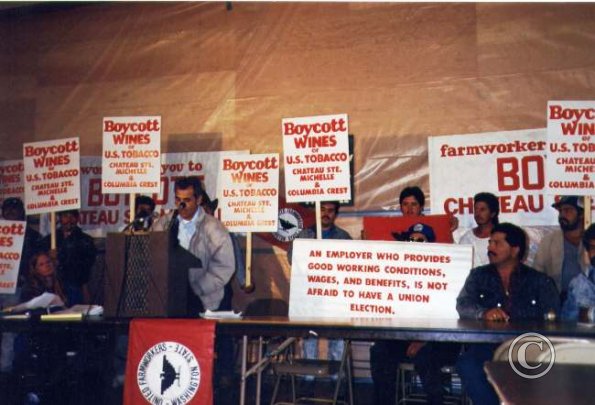 UFW 1989