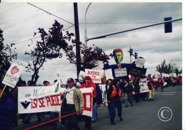 Skagit Valley 5-4-97