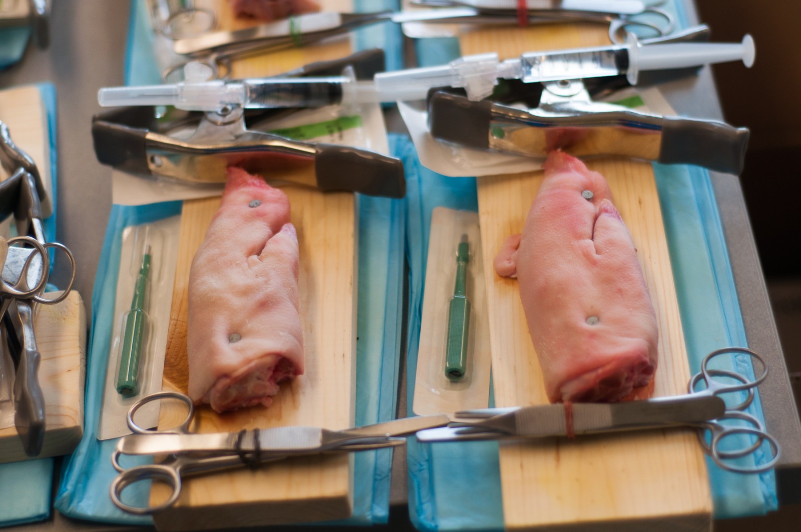 Suturing MEDEX Northwest