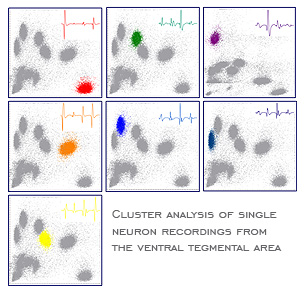 Cluster analysis of single neuron recordings from the ventral tegmental area.
