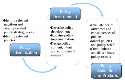 interlinked process of policy identification, development, and evaluation products