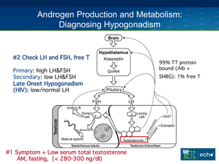 Hypogonadism and Testosterone Replacement in Men with HIV by Stephanie T. Page, MD, PhD Hypogonadism and Testosterone Replacement in Men with HIV